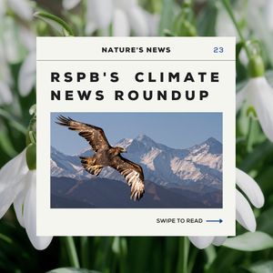 Image post by @rspb on Instagram
