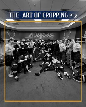 Image post by @sfstampede on Instagram