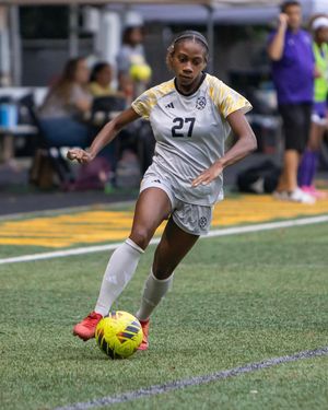 Image post by @gopetrels on Instagram