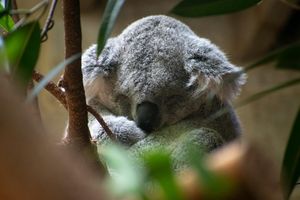 Image post by @zk_multimedia on Instagram