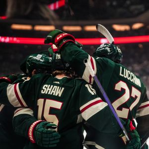 Image post by @mnwild on Twitter
