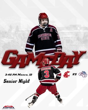 Image post by @wsu_hockey_ on Instagram