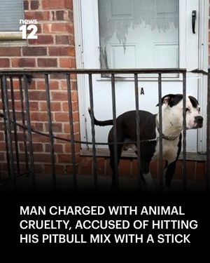 Image post by @news12li on Instagram