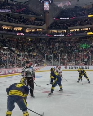 Image post by @everythingcollegehockey on Instagram