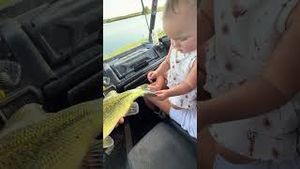 Video post by @barstooloutdoors on YouTube
