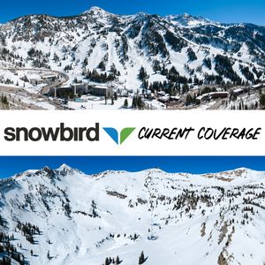 Image post by @snowbird on Instagram
