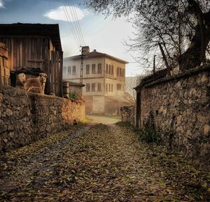 Image post by @serhanerkek on Instagram