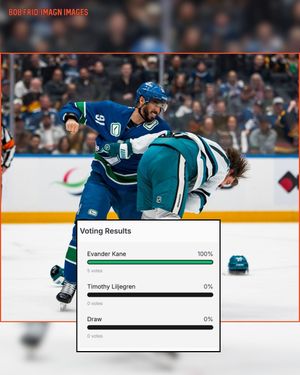 Image post by @hockeyfights on Instagram