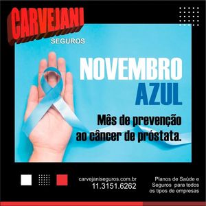Image post by @carvejaniseguros on Instagram