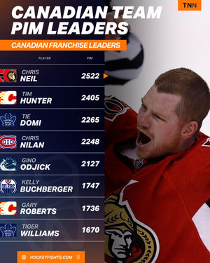 Image post by @hockeyfights on Instagram