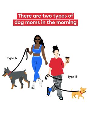 Image post by @petsmart on Instagram