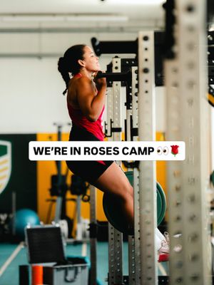 Image post by @salesharkswomen on Instagram