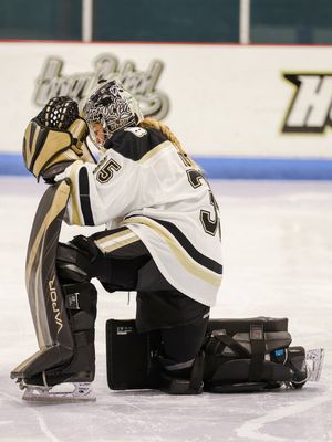 Image post by @honeybakedhc on Instagram