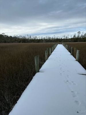 Image post by @charlestoncountyparks on Instagram