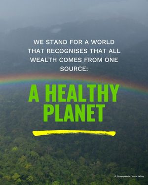 Image post by @greenpeace on Instagram