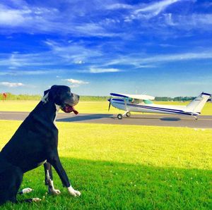 Image post by @foreflight on Instagram