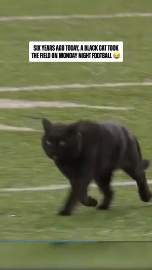 Video post by @nfl on TikTok