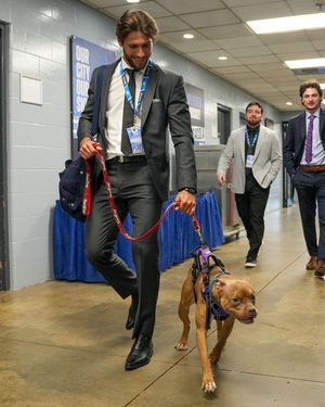 Image post by @pcolaiceflyers on Instagram