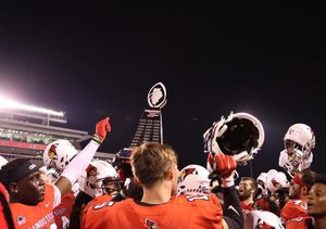 Image post by @isuredbirds on Instagram