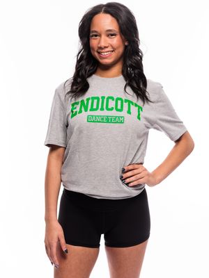 Image post by @endicottdanceteam on Instagram