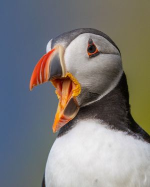 Image post by @visitscotland on Instagram