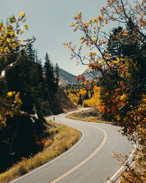 Image post by @livewireev on Instagram