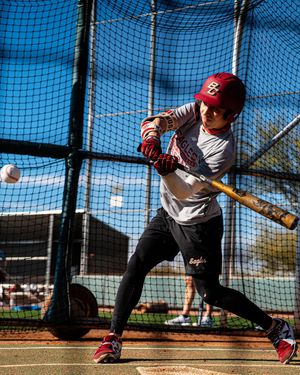 Image post by @bcbirdball on Instagram