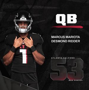 Image post by @atlantafalcons on Instagram