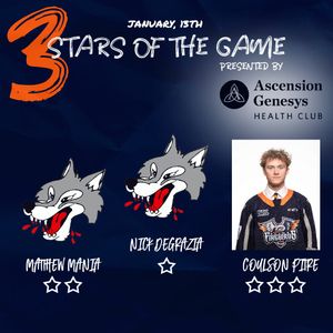 Image post by @FlintFirebirds on Twitter/X