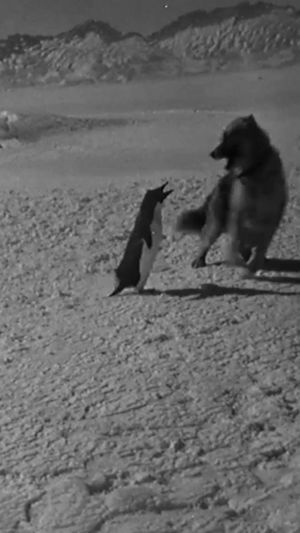 Video post by @tenk.fr on Instagram