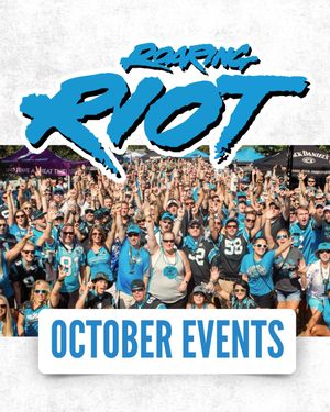 Image post by @roaringriot on Instagram