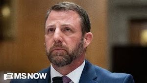 Video post by @msnbc on YouTube