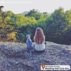 Image post by @candmclub on Instagram