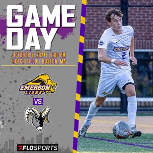 Image post by @emersonlions on Instagram