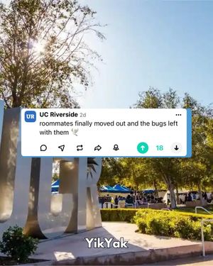 Image post by @yikyakapp on Instagram
