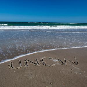 Image post by @UNCWAlumni on Twitter