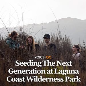 Image post by @voiceofoc on Instagram