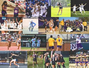 Image post by @lipscombbisons on Instagram