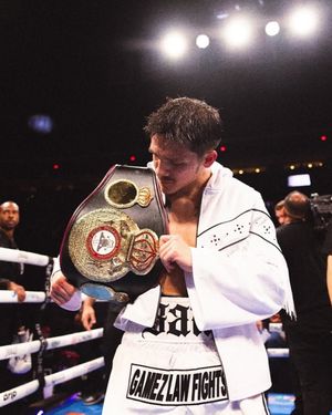 Image post by @boxingbully on Instagram