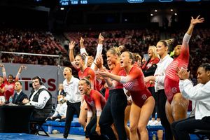 Image post by @HogsPlus on Twitter