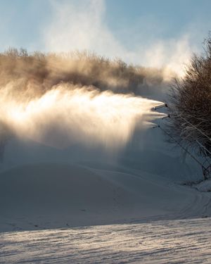 Image post by @carinthiaparks on Instagram