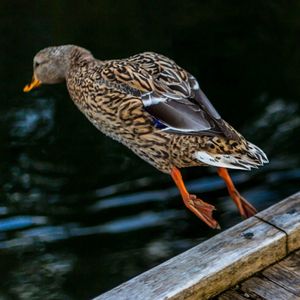 Image post by @stantonhunterphoto on Instagram