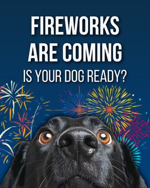 Image post by @susangarrettdogsthat on Instagram