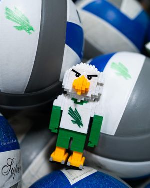 Image post by @meangreenvb on Instagram