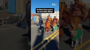 Video post by @aldotcom on YouTube