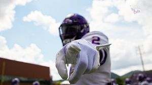 Image post by @wheethecats on Instagram