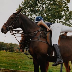 Image post by @glorioussport on Instagram