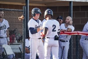 Image post by @OwlzNoCo on Twitter