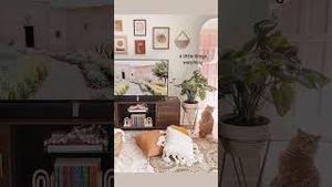 Video post by @wayfair on YouTube
