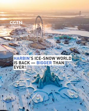 Image post by @cgtneurope on Instagram